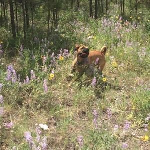 Meet your Posher, Rhonda